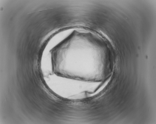 X0000086101452200704202229