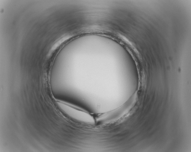 X0000086101453200704202229