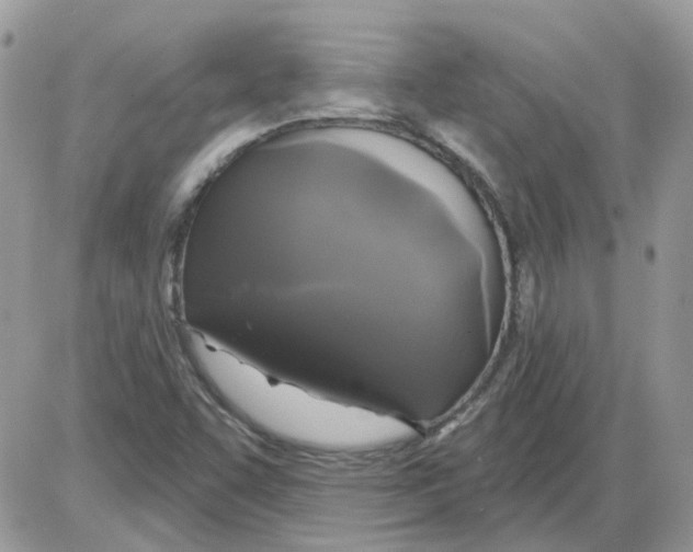 X0000086101455200704202229