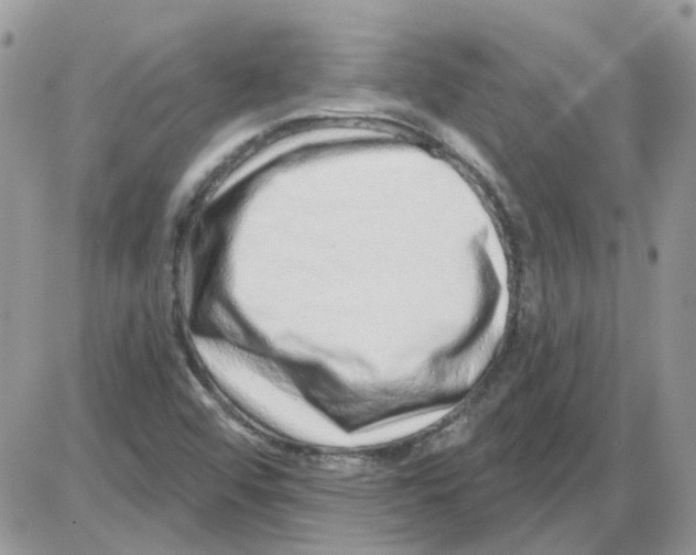 X0000086101456200704202229