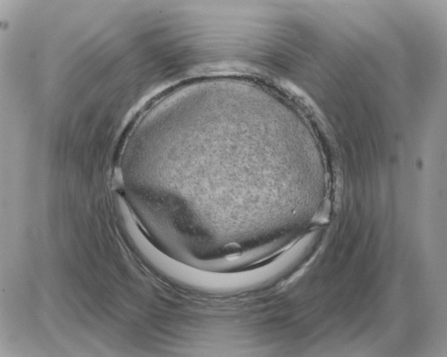 X0000086101457200704202229