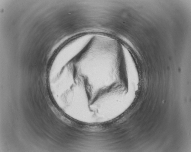 X0000086101460200704202229