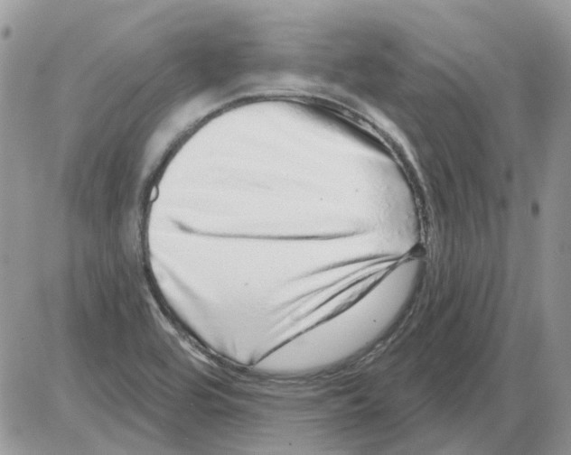 X0000086101464200704202229