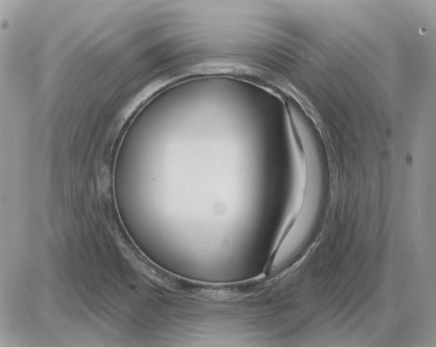 X0000086101465200704202229