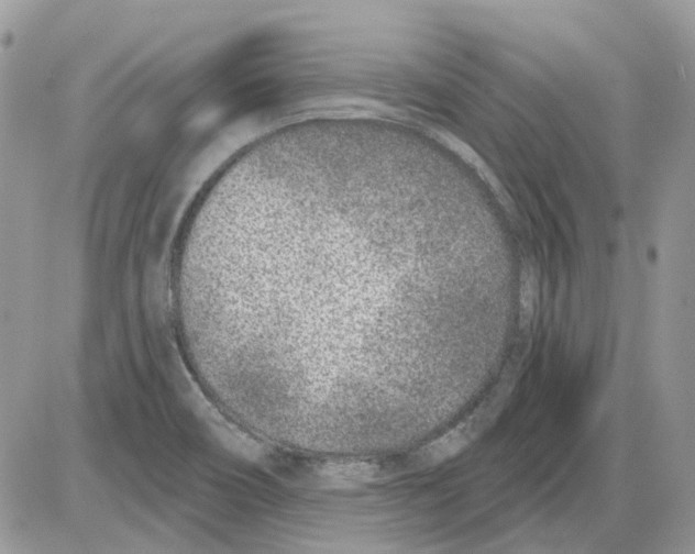 X0000086101466200704202229