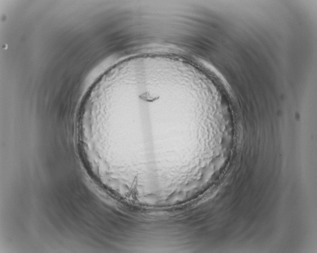 X0000086101467200704202229