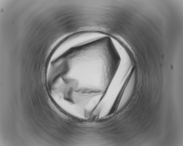X0000086101468200704202229