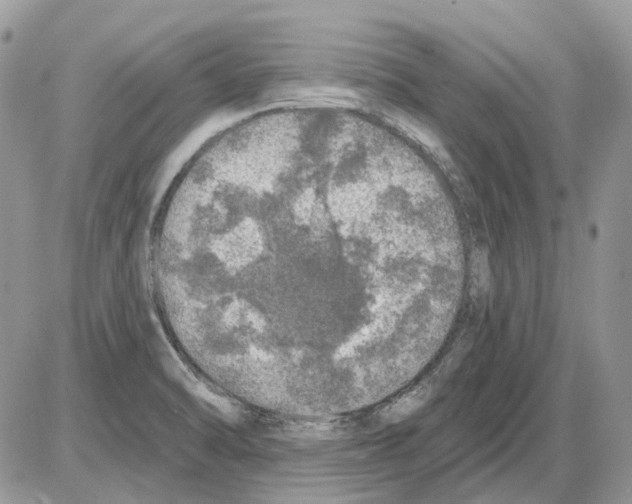 X0000086101470200704202229