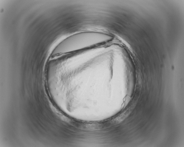 X0000086101471200704202229
