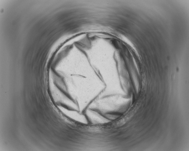 X0000086101472200704202229