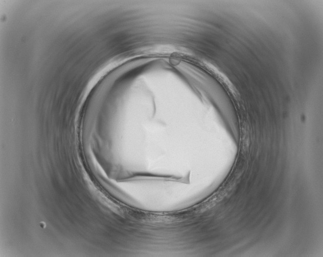 X0000086101475200704202229