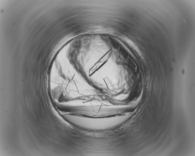 X0000086101476200704202229