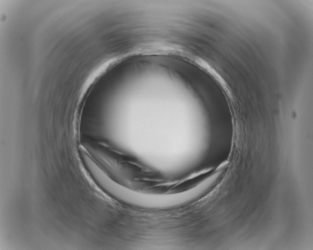 X0000086101477200704202229