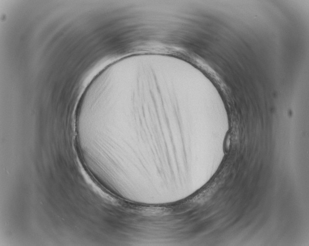 X0000086101479200704202228