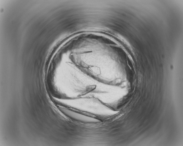 X0000086101480200704202228