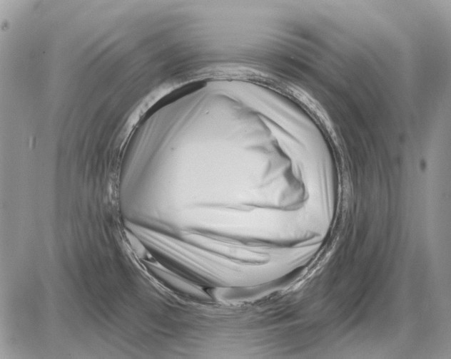 X0000086101481200704202228