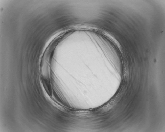 X0000086101483200704202228