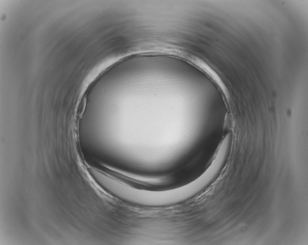 X0000086101485200704202228