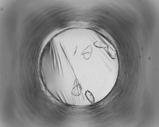 X0000086101488200704202228