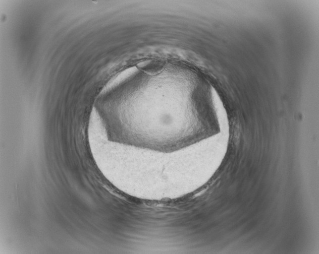 X0000086101489200704202228