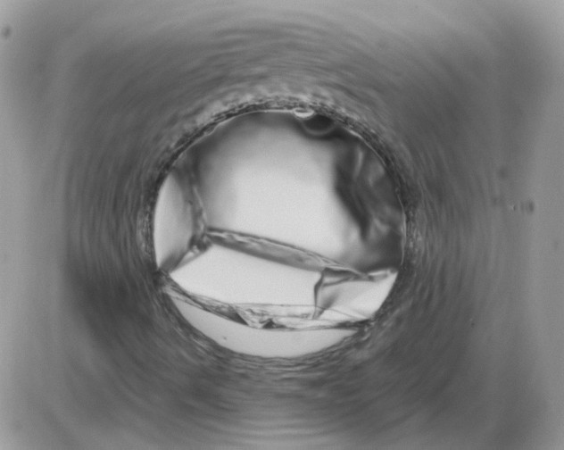 X0000086101490200704202228