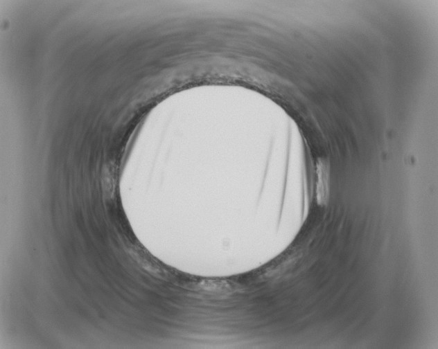 X0000086101491200704202228
