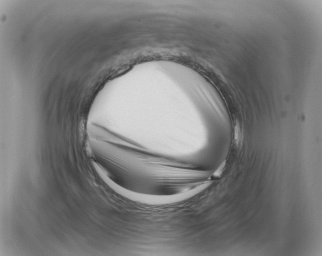 X0000086101492200704202228