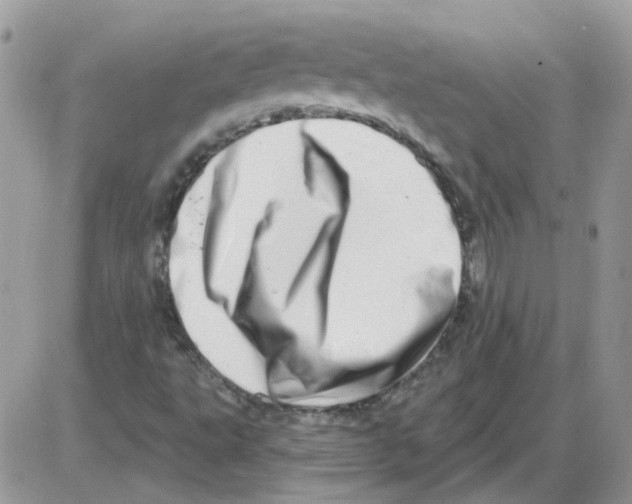 X0000086101495200704202228