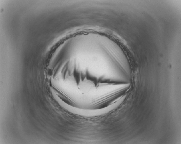 X0000086101496200704202228
