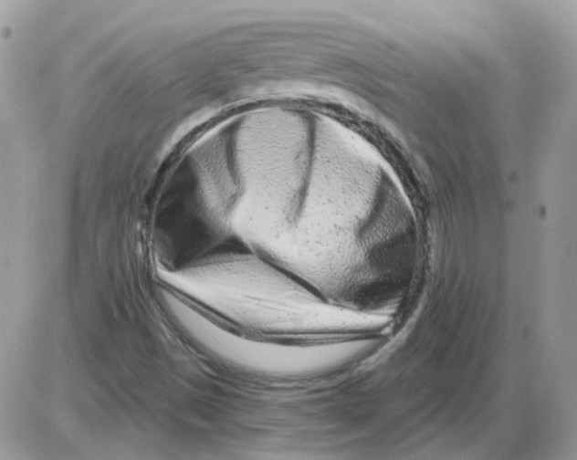 X0000086101497200704202228