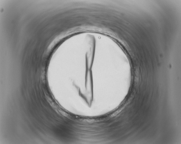 X0000086101499200704202228