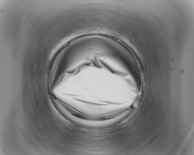 X0000086101500200704202228