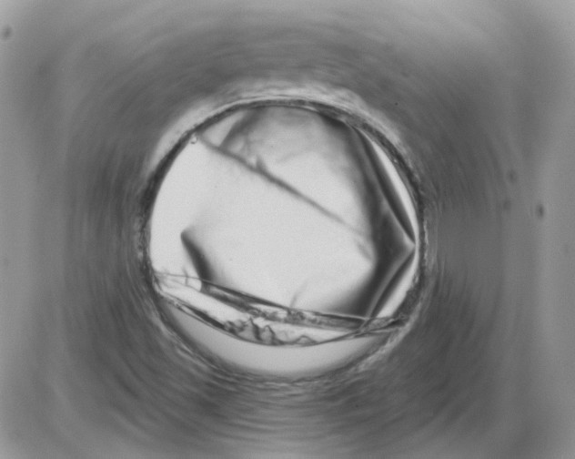 X0000086101501200704202228