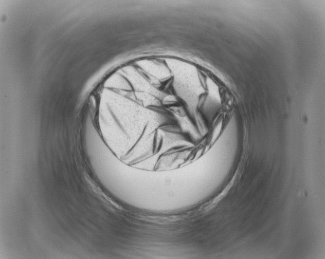X0000086101502200704202228