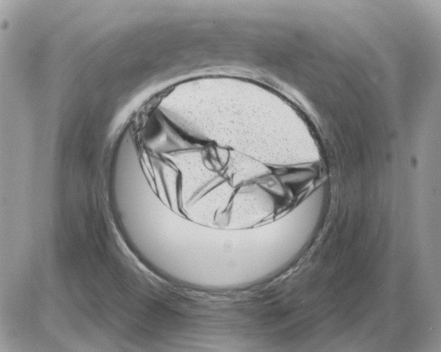 X0000086101504200704202228