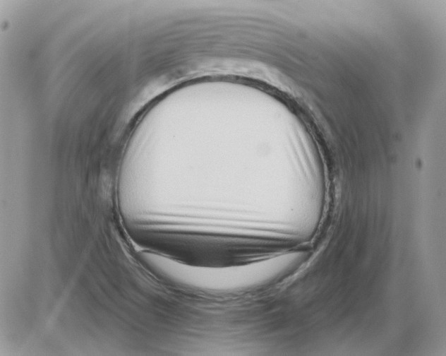 X0000086101505200704202228