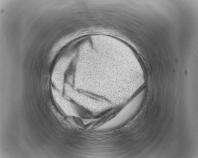 X0000086101507200704202228