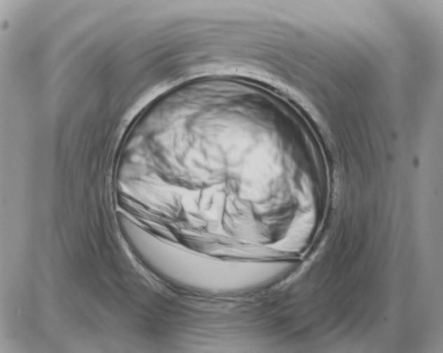 X0000086101513200704202228