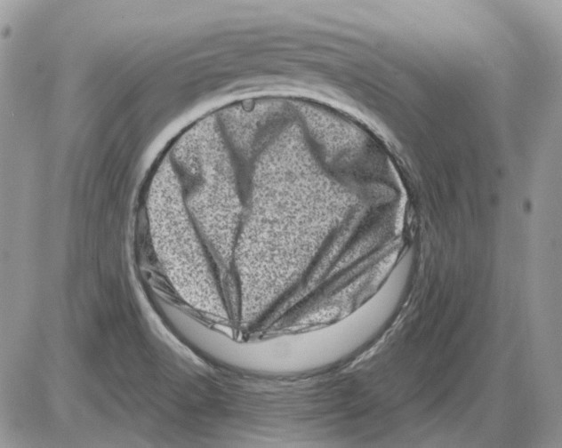 X0000086101518200704202228