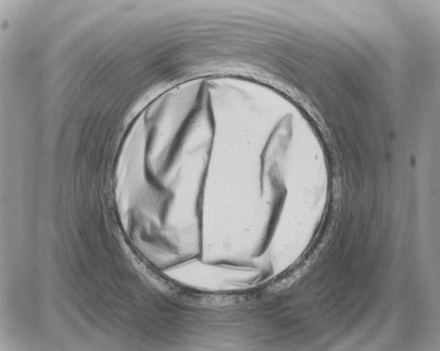 X0000086101521200704202228