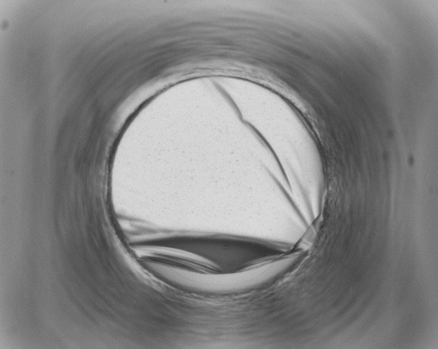 X0000086101523200704202228