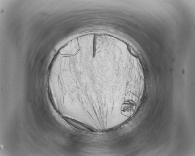 X0000086101526200704202228