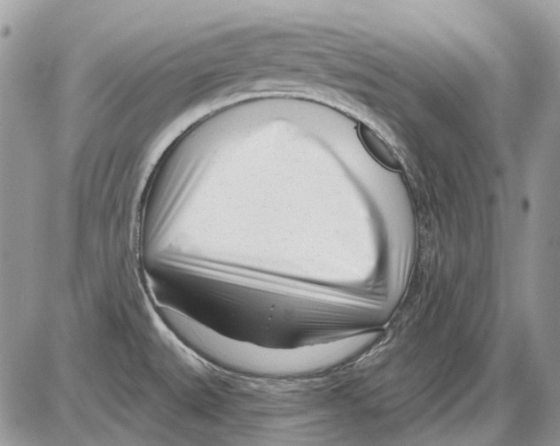 X0000086101527200704202228