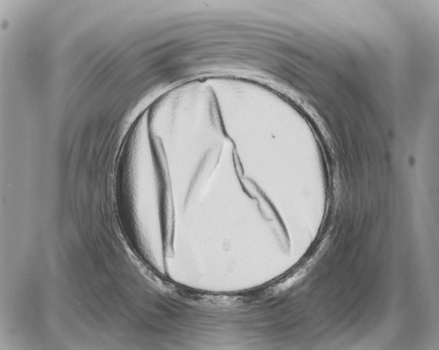 X0000086101529200704202228