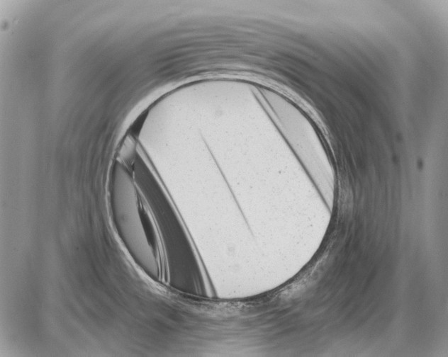 X0000086101533200704202228