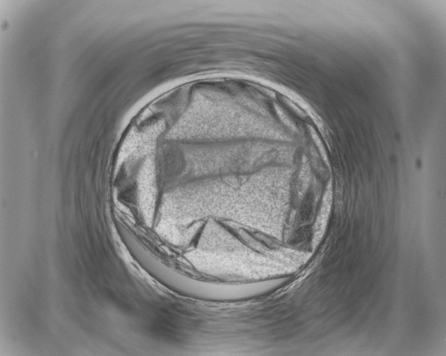 X0000086101534200704202228