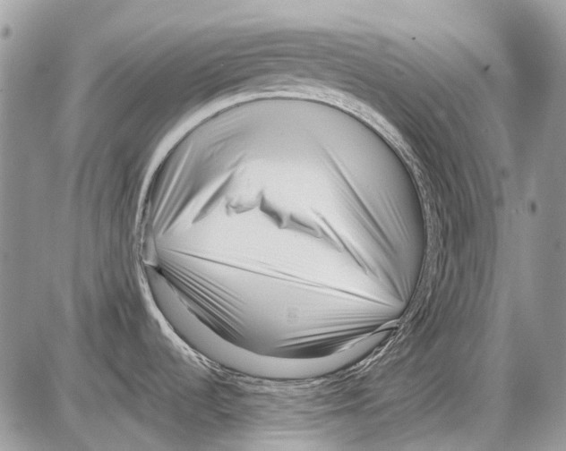 X0000086101536200704202228