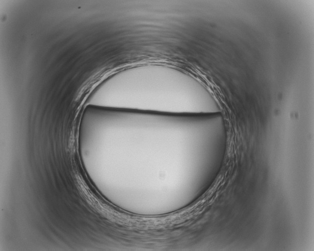 X0000086110002200703231128