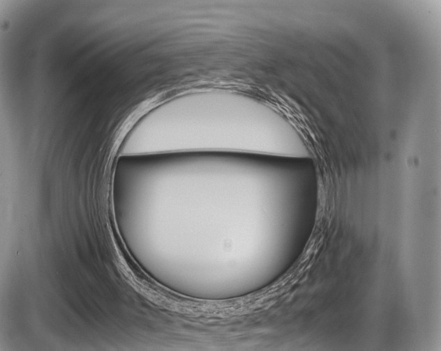 X0000086110003200703231128