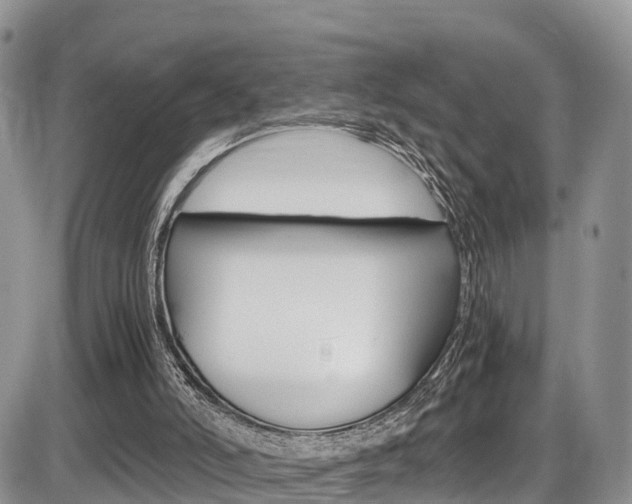 X0000086110006200703231128